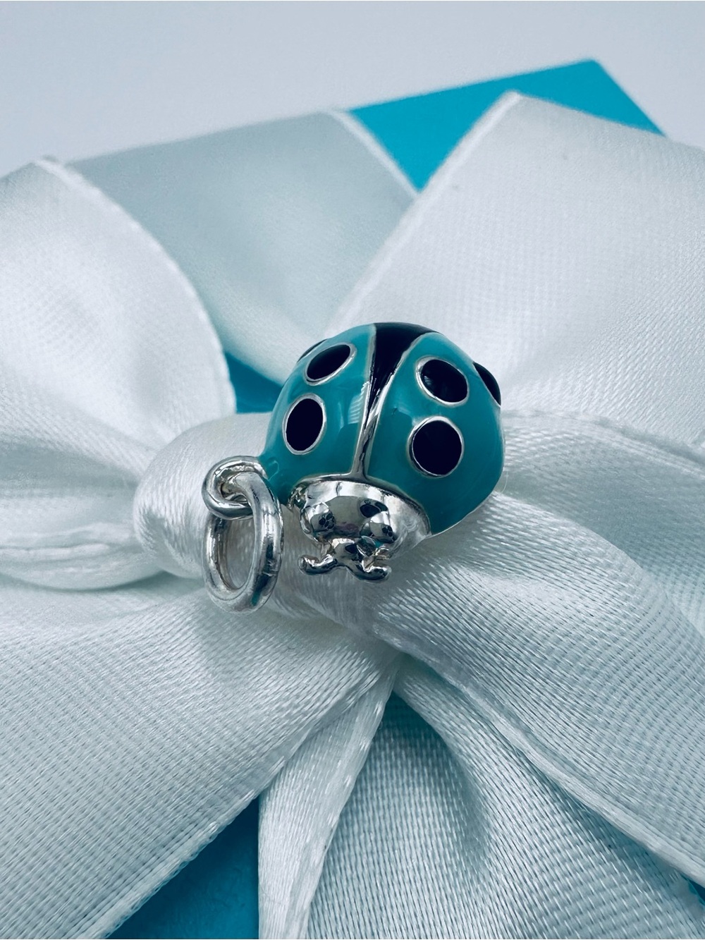 NEW Tiffany & Co. Ladybug Blue Enamel Charm in Silver with Packaging Retired